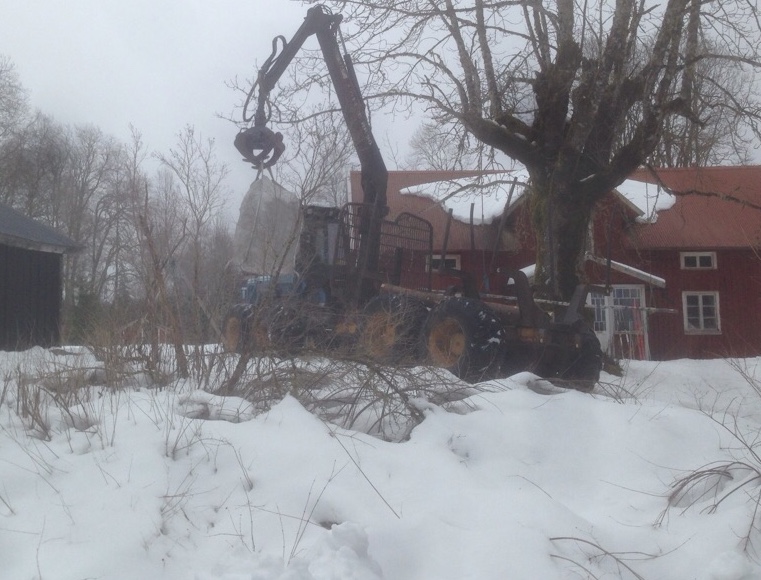 IMG_0243 (redigeret)